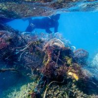 A diver moving toward fish netting.