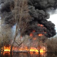 Smoke and fire from a controlled burn in a wooded Lousiania swamp.