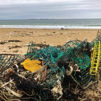 A tangled pile of derelict fishing gear on the shoreline.